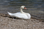 Bild003