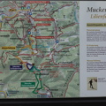 Bild 007