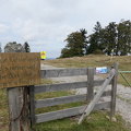Bild 008