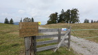 Bild 008